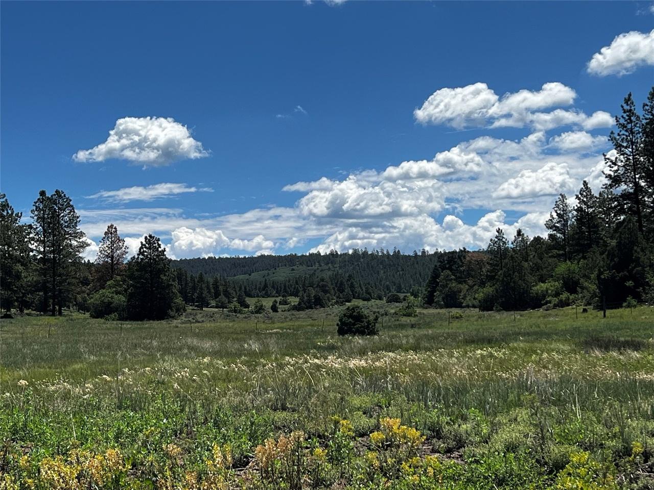 property-listing