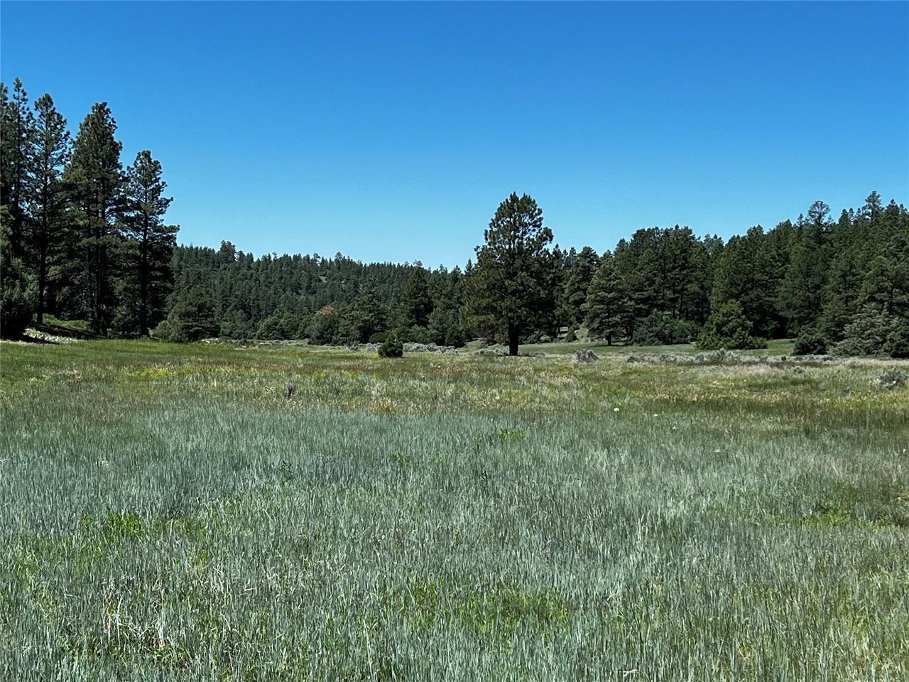 property-listing
