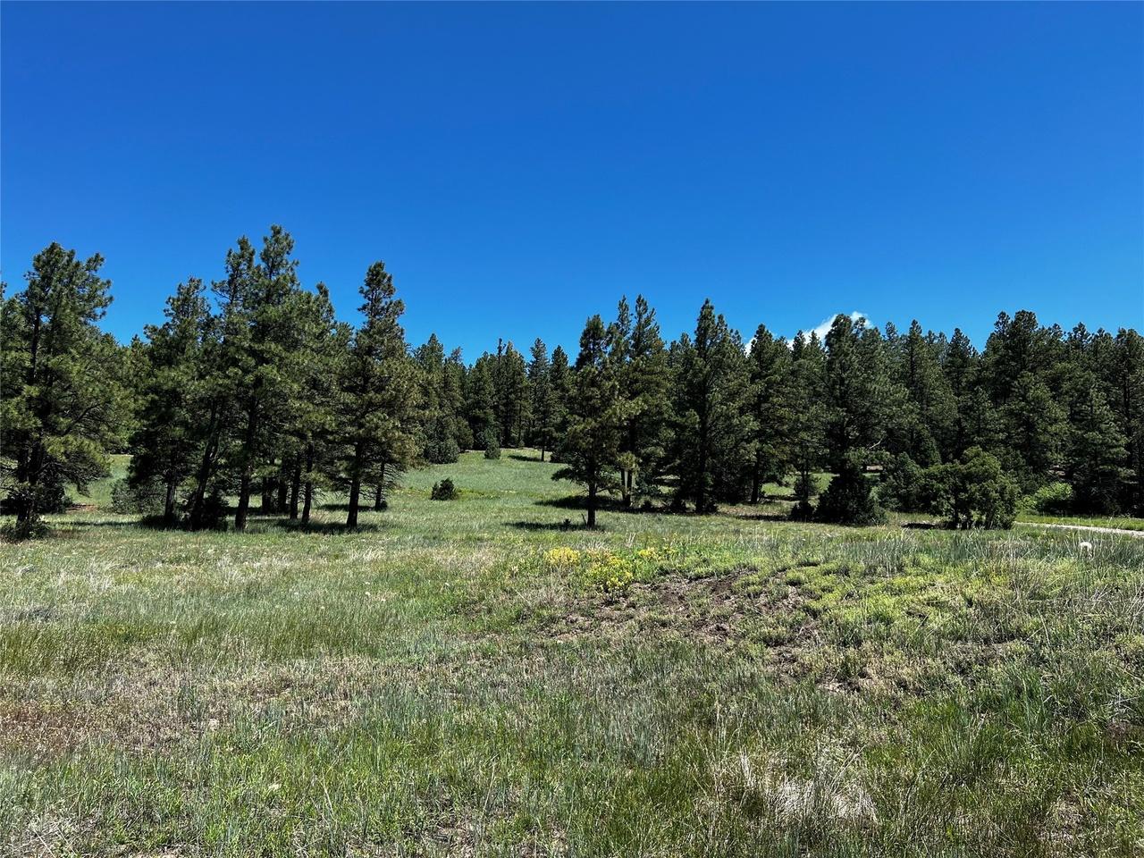 property-listing