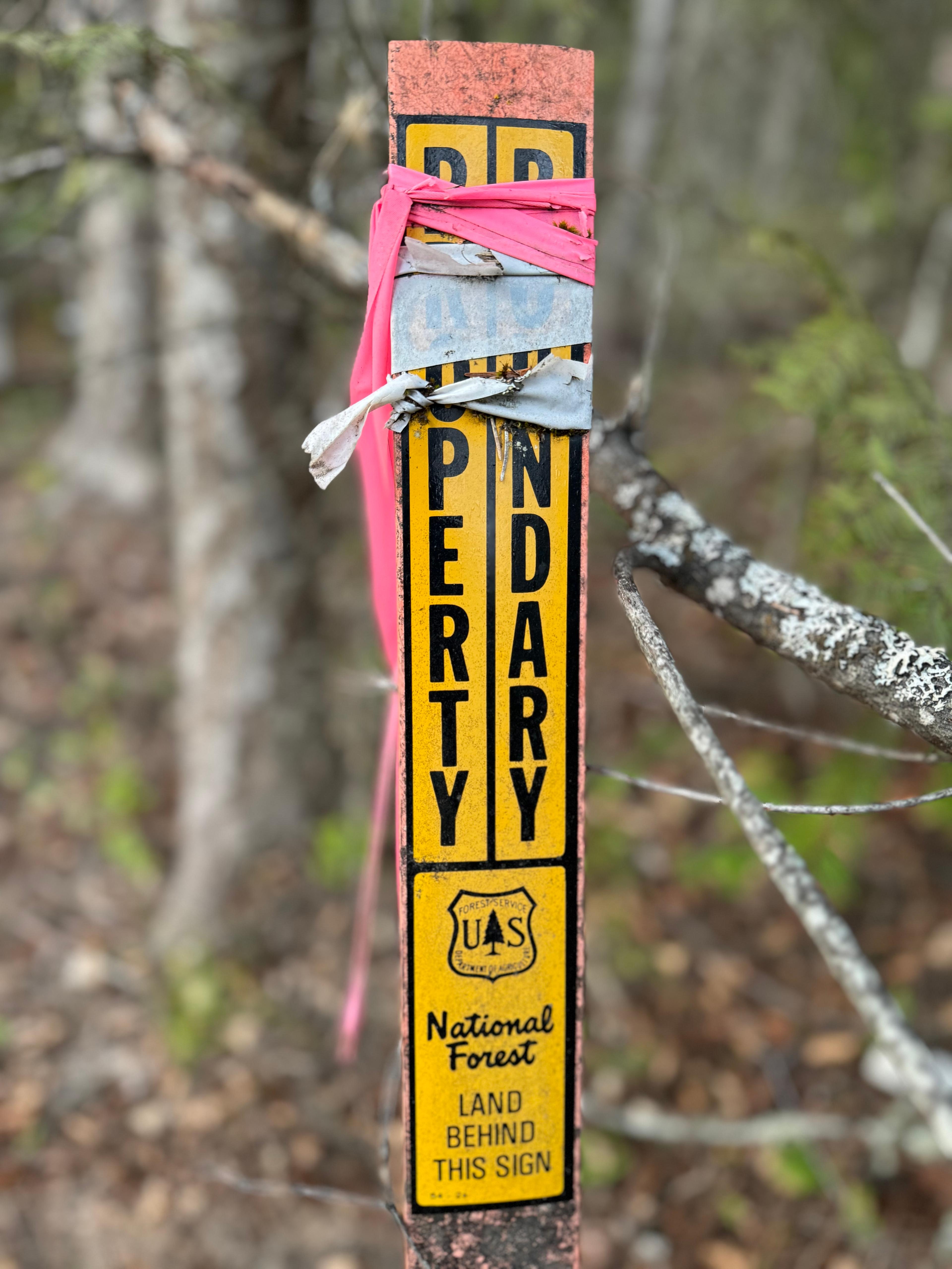 property-listing