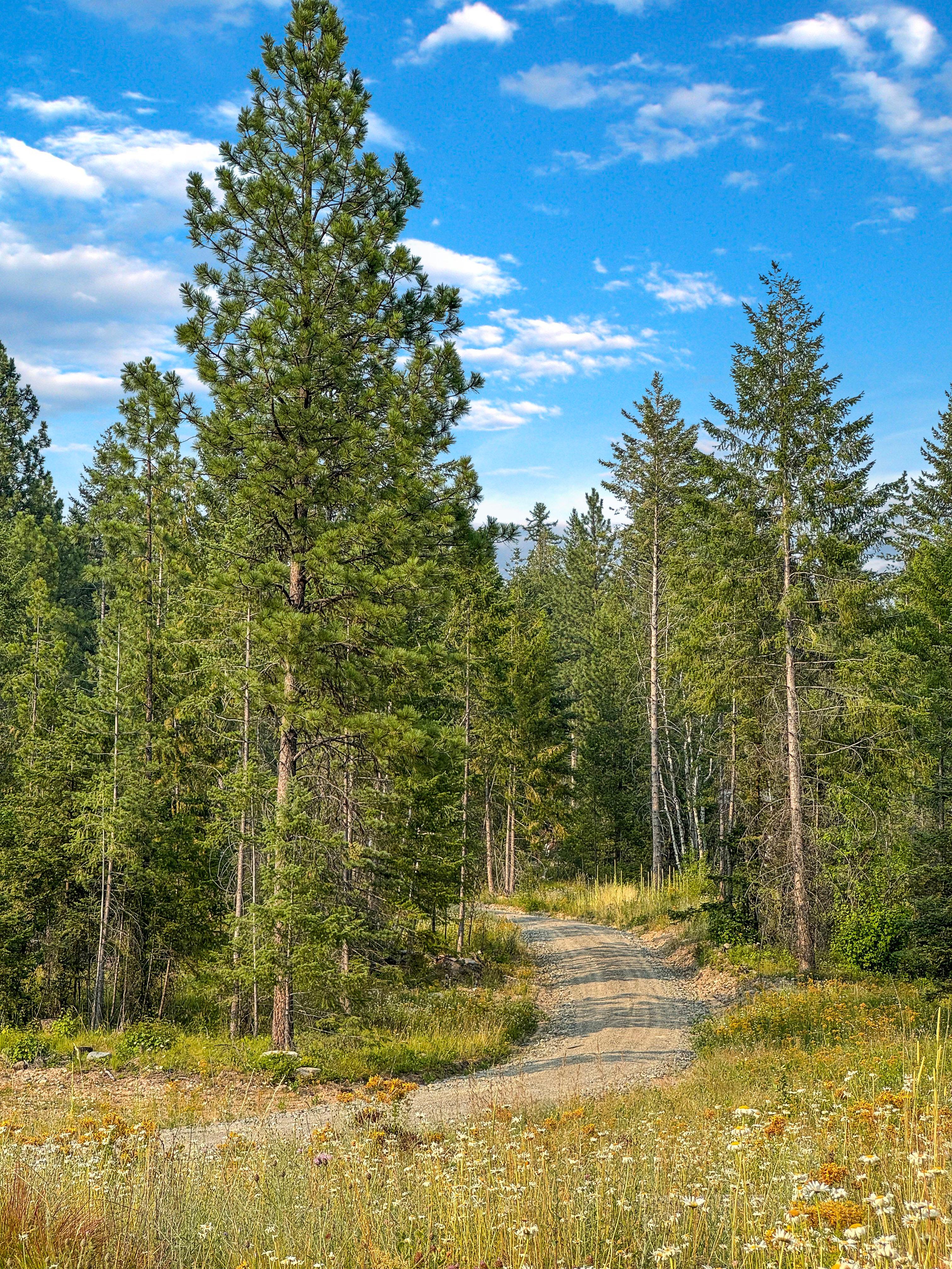 property-listing