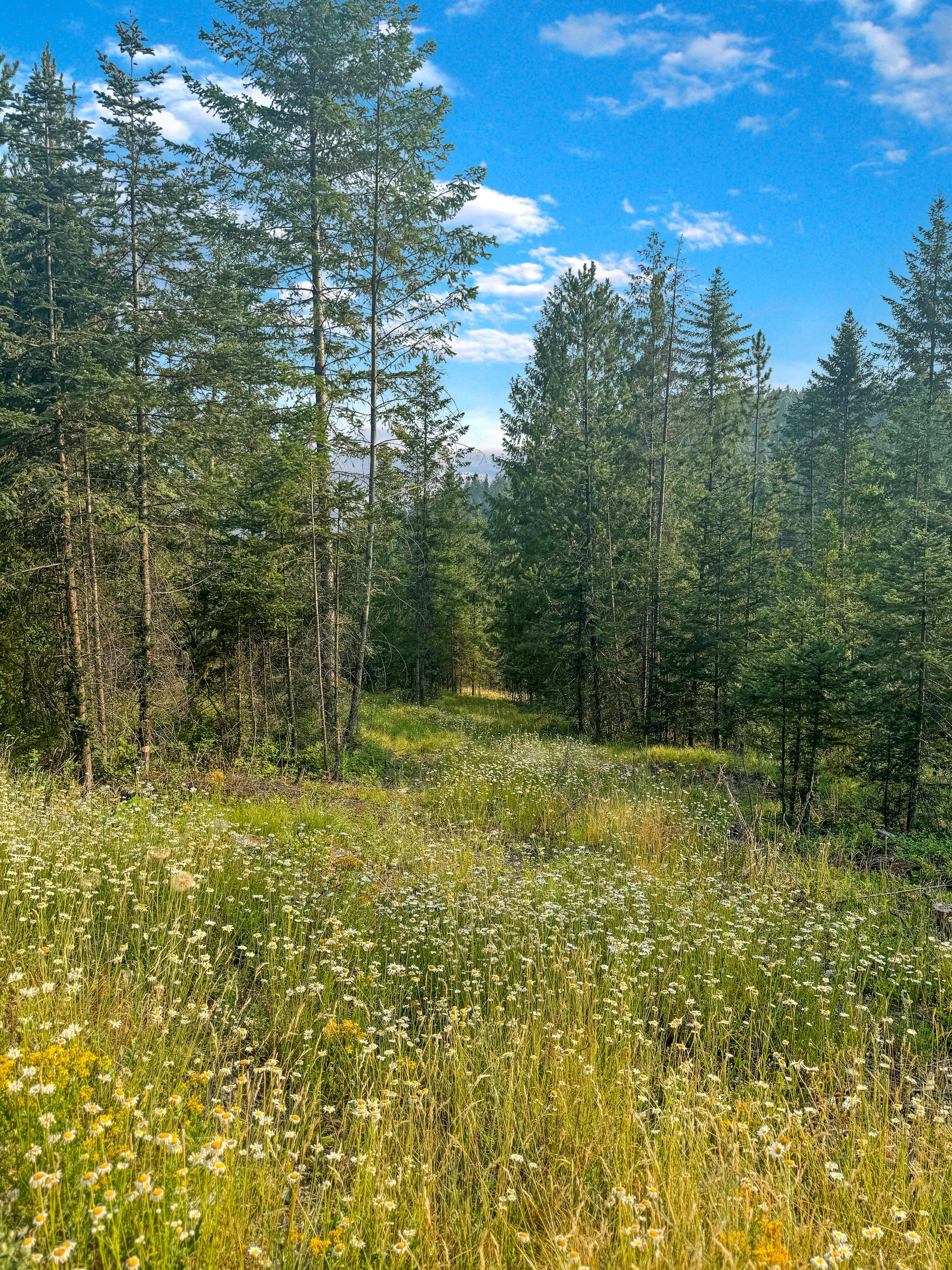 property-listing