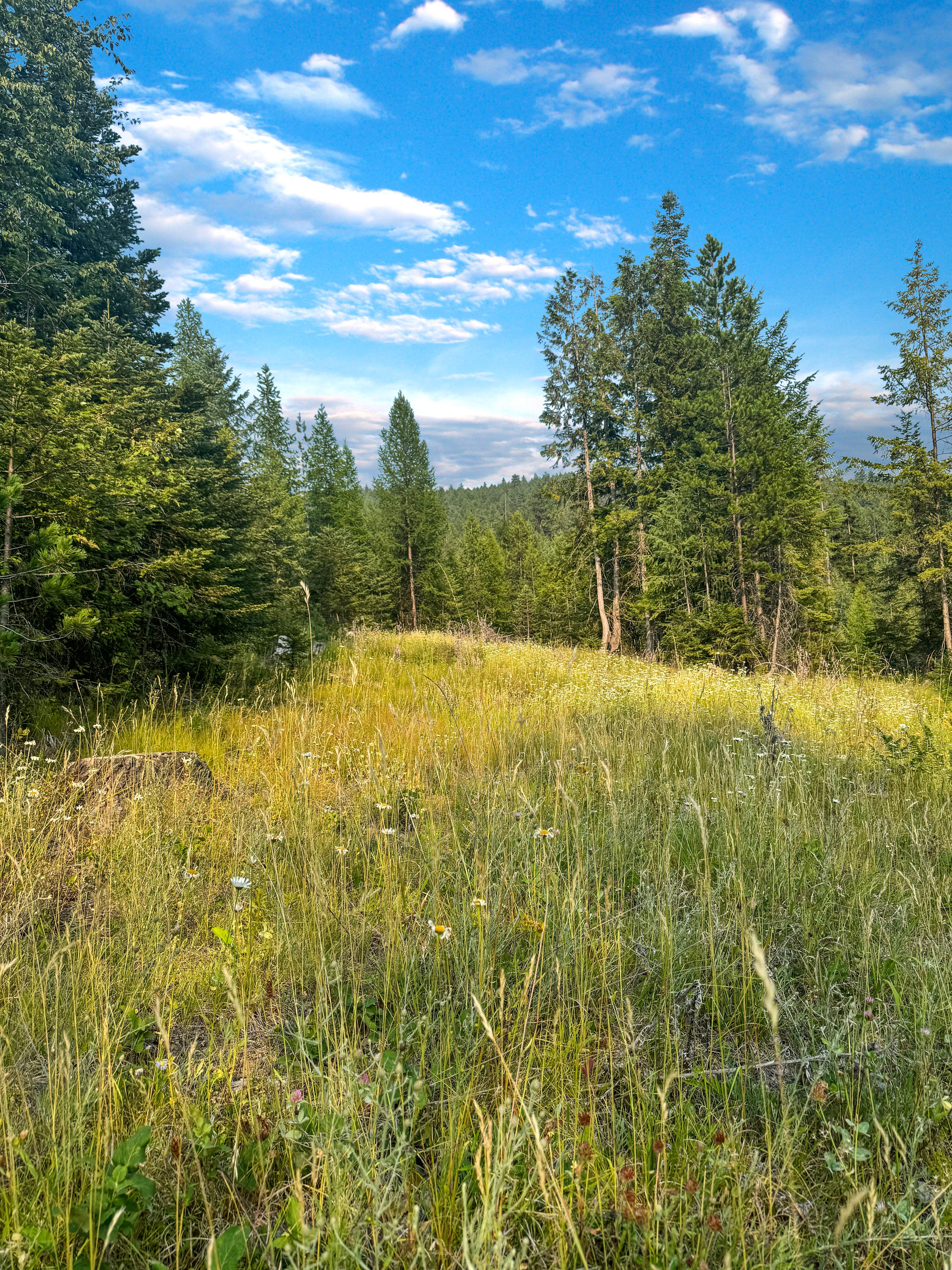 property-listing