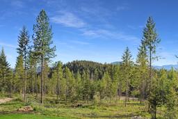 listing-thumbnails