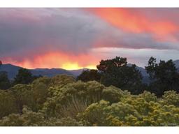 listing-thumbnails
