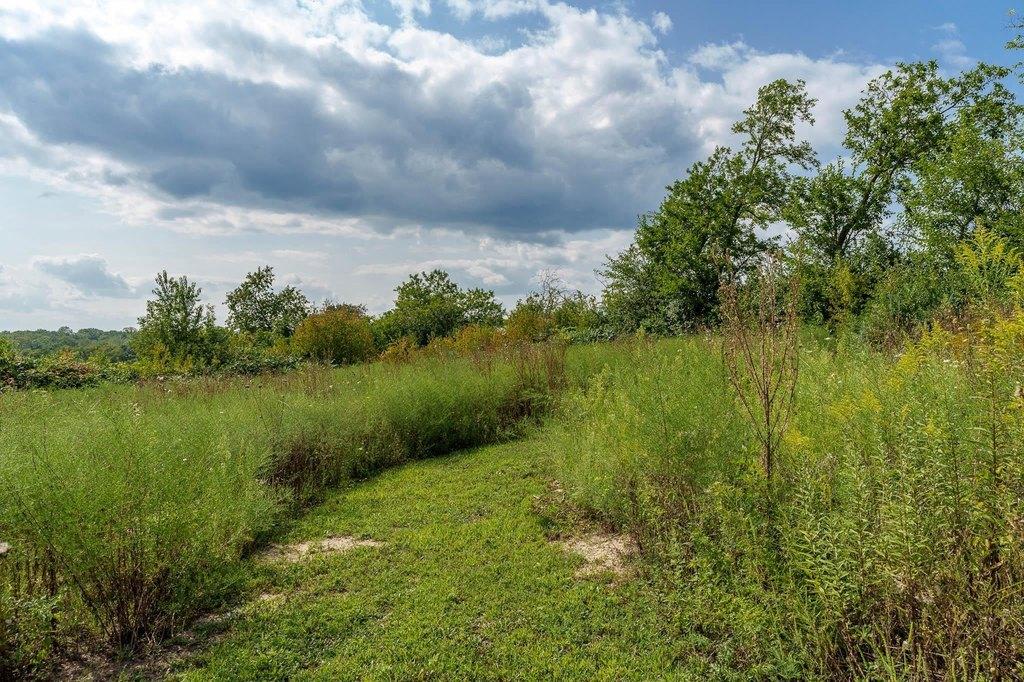 property-listing