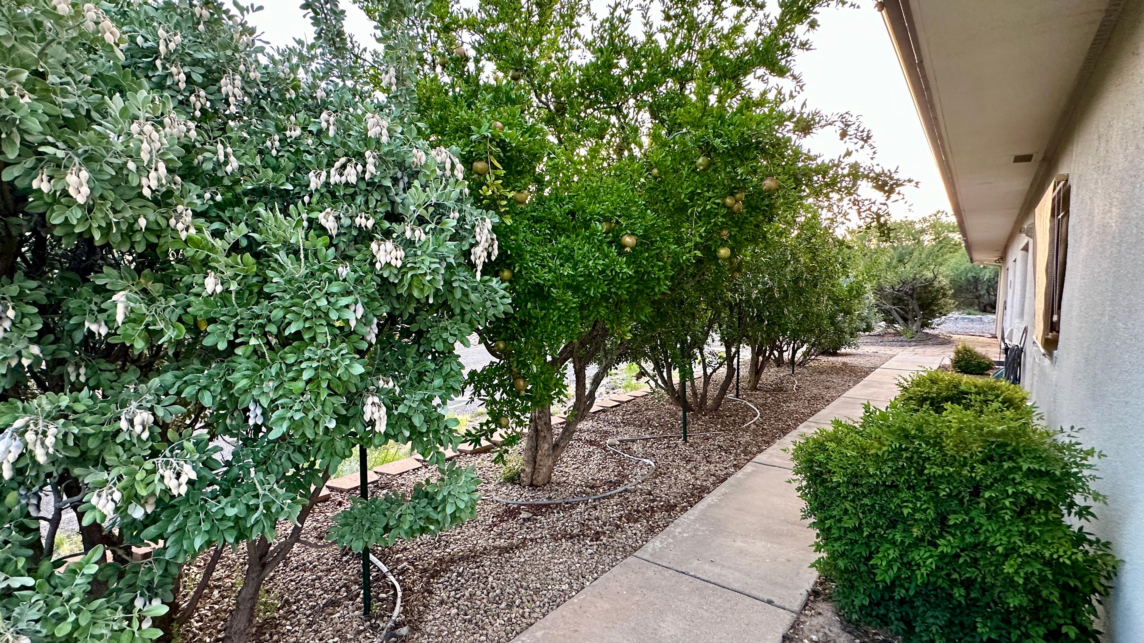 green_photos