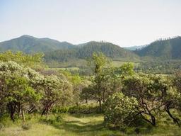 listing-thumbnails