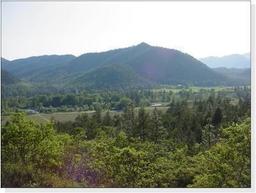 listing-thumbnails