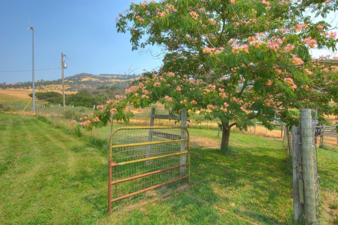 property-listing