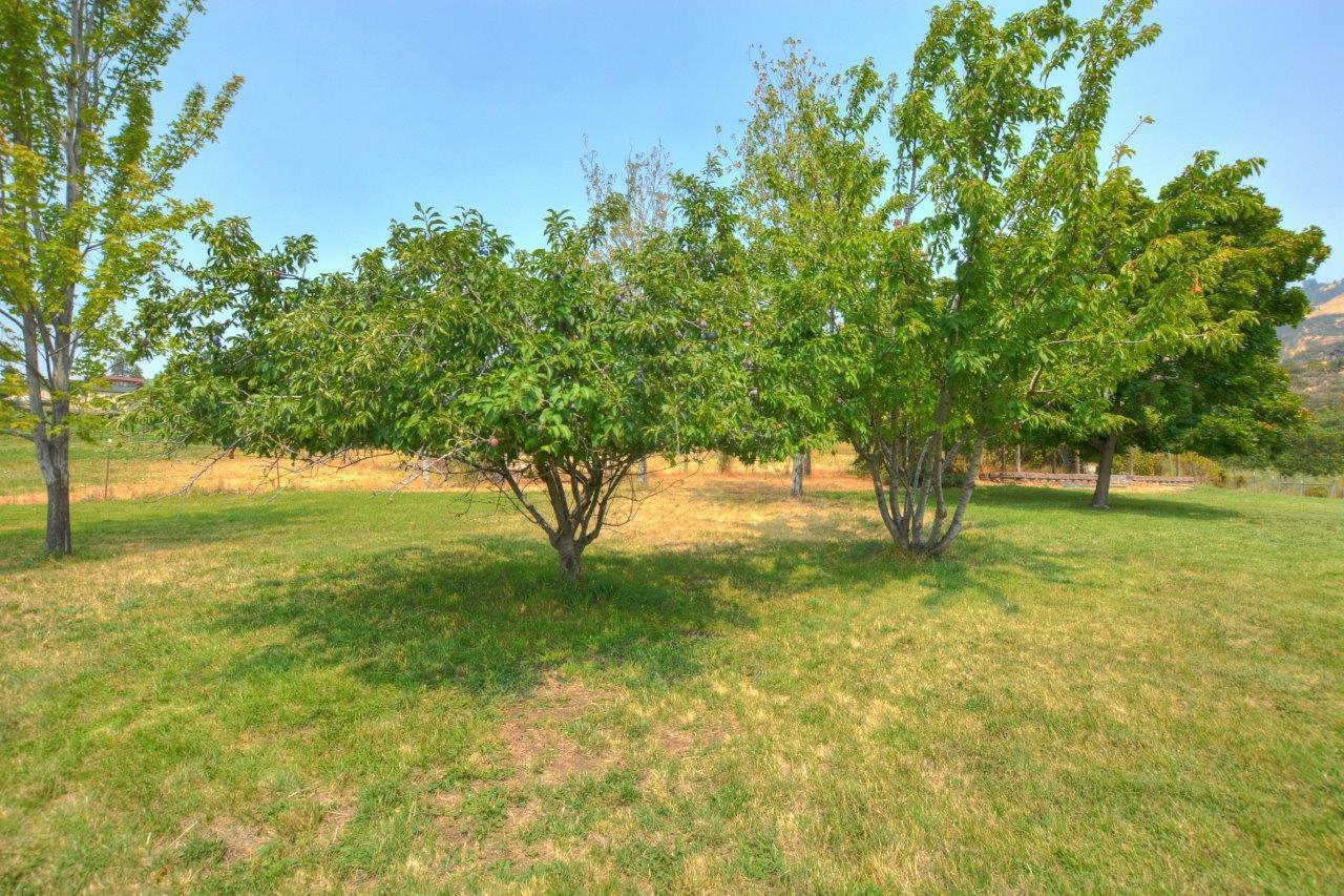 property-listing