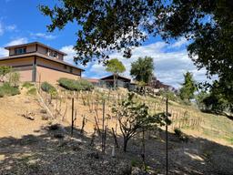 listing-thumbnails