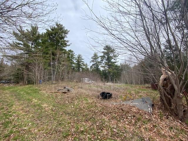Garden area just up from the homestead. Nice open space to hull & cut firewood