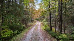 listing-thumbnails