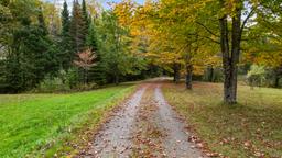 listing-thumbnails
