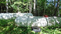 listing-thumbnails