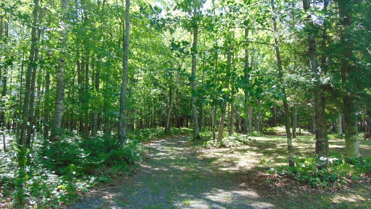 property-listing