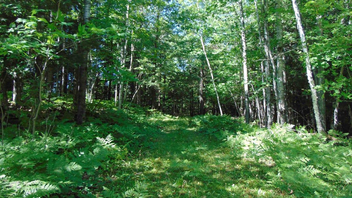 property-listing