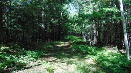 listing-thumbnails