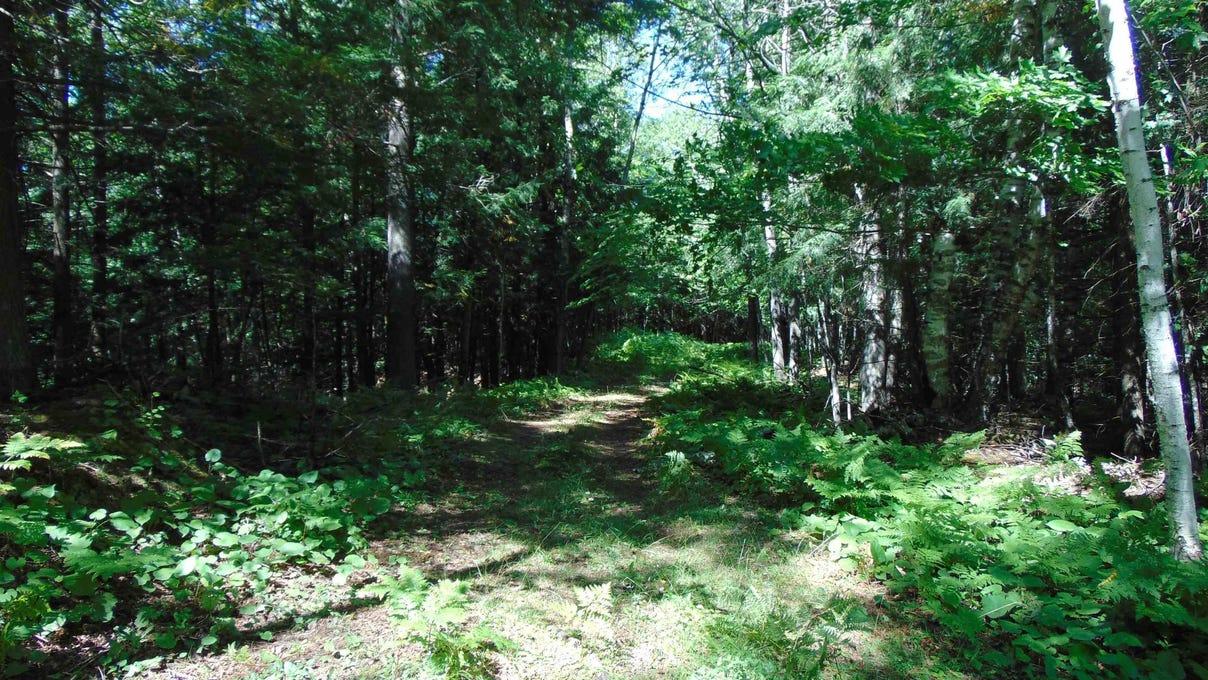 property-listing