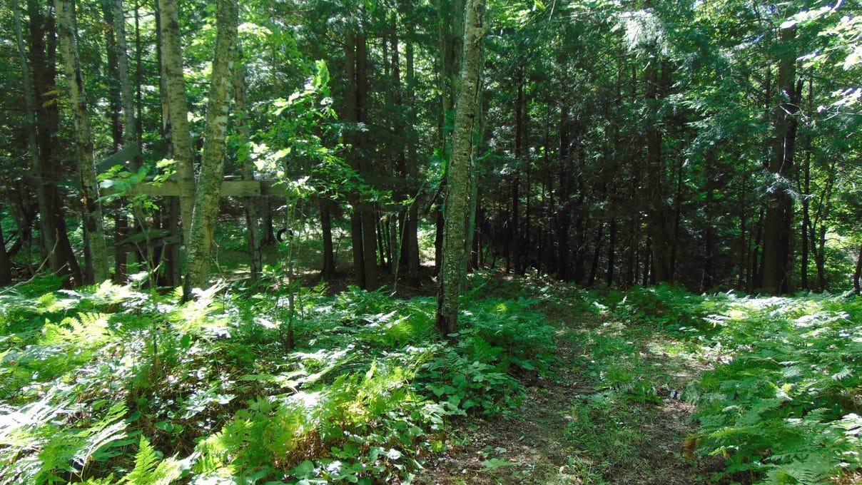 property-listing