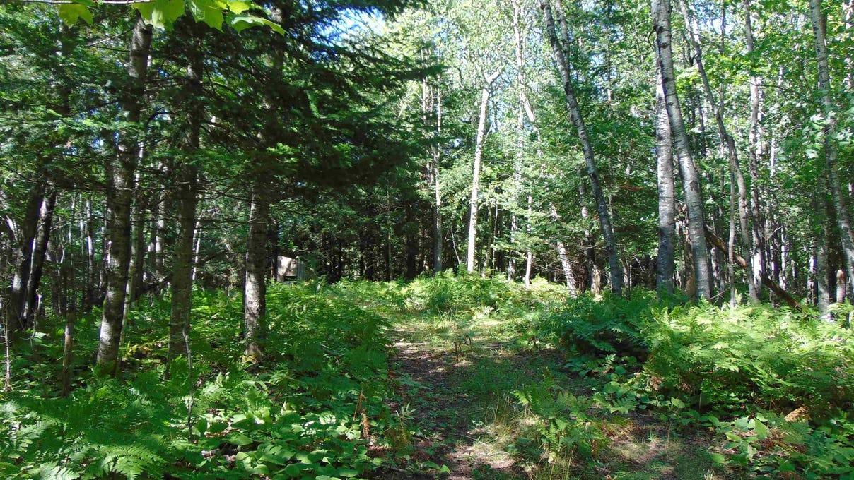 property-listing