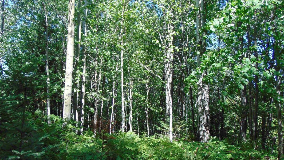 property-listing