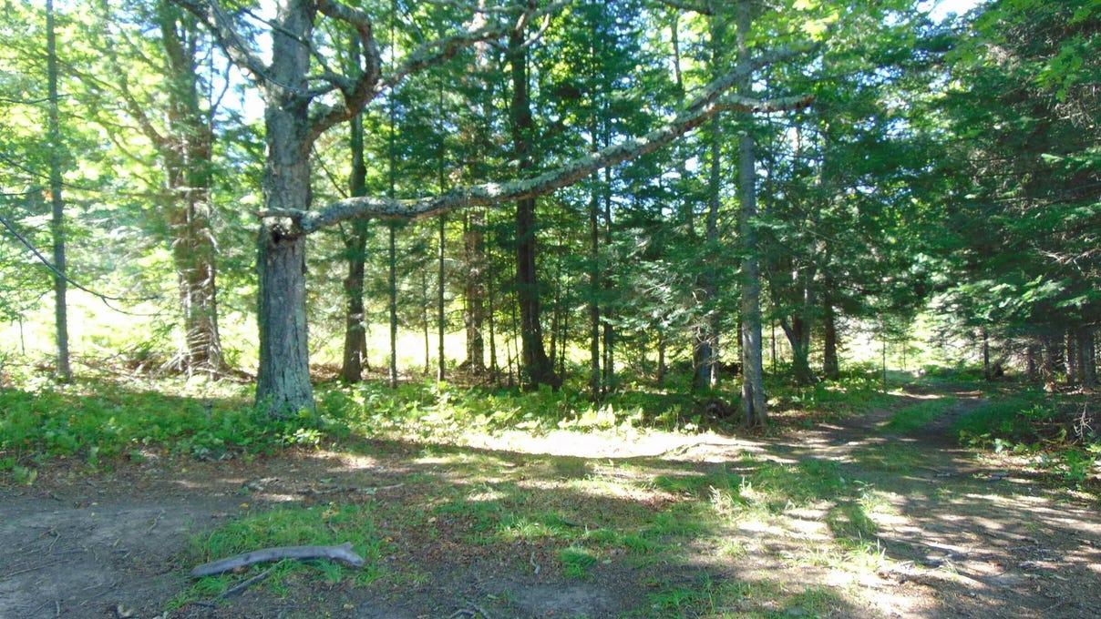 property-listing