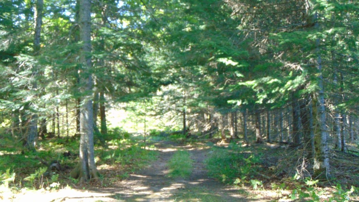 property-listing