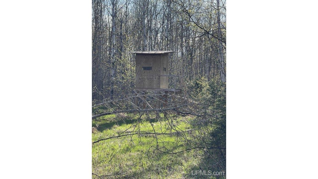 property-listing