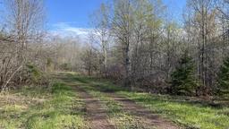 listing-thumbnails