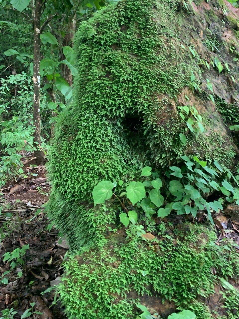 property-listing